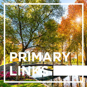 Primary Links - 25 November